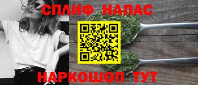 МДПВ Обь